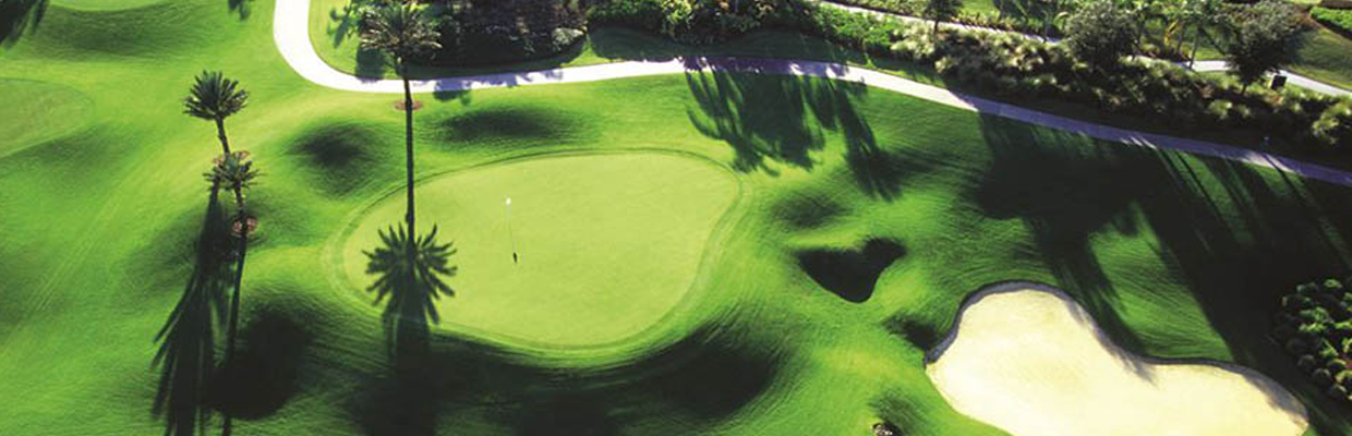 Image Title My Image