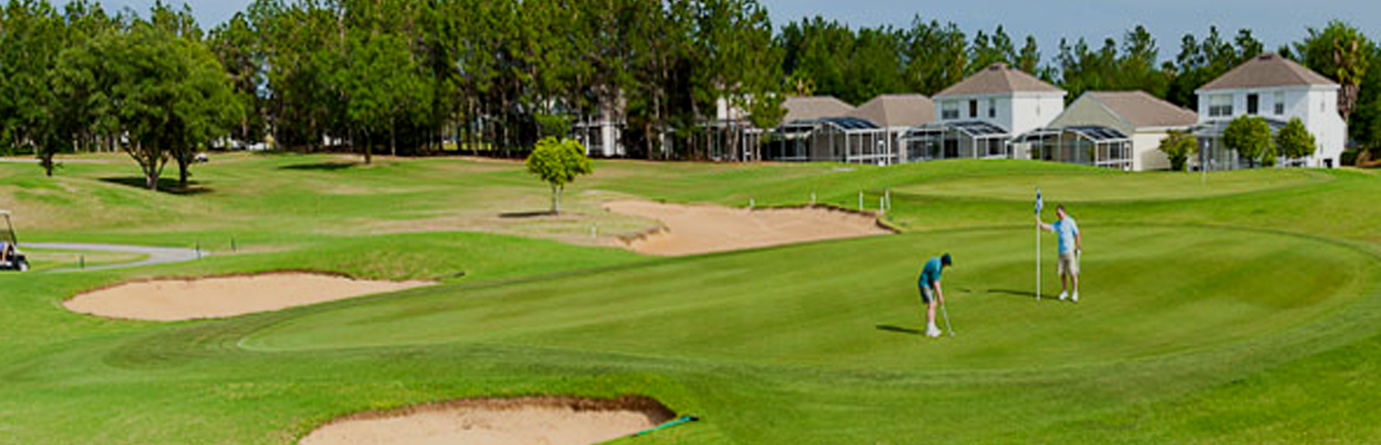 Image Title My Image