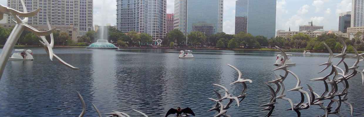 Image Title My Image